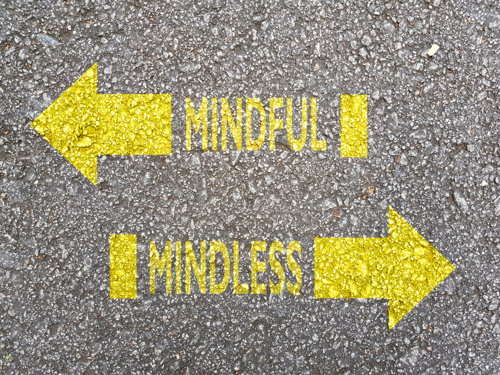 Mindful Eating vs. Mindless Eating