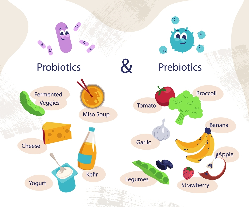 Probiotics into Your Diet